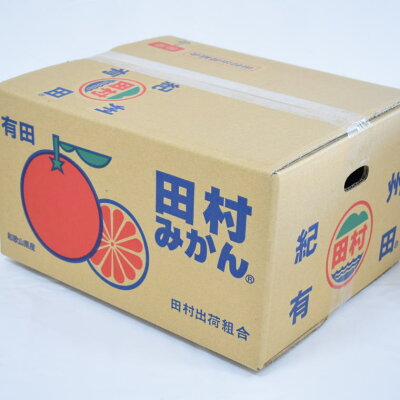 ZD7029_数量限定【ブランドみかん】田村みかん 約9kg (2Lサイズ)