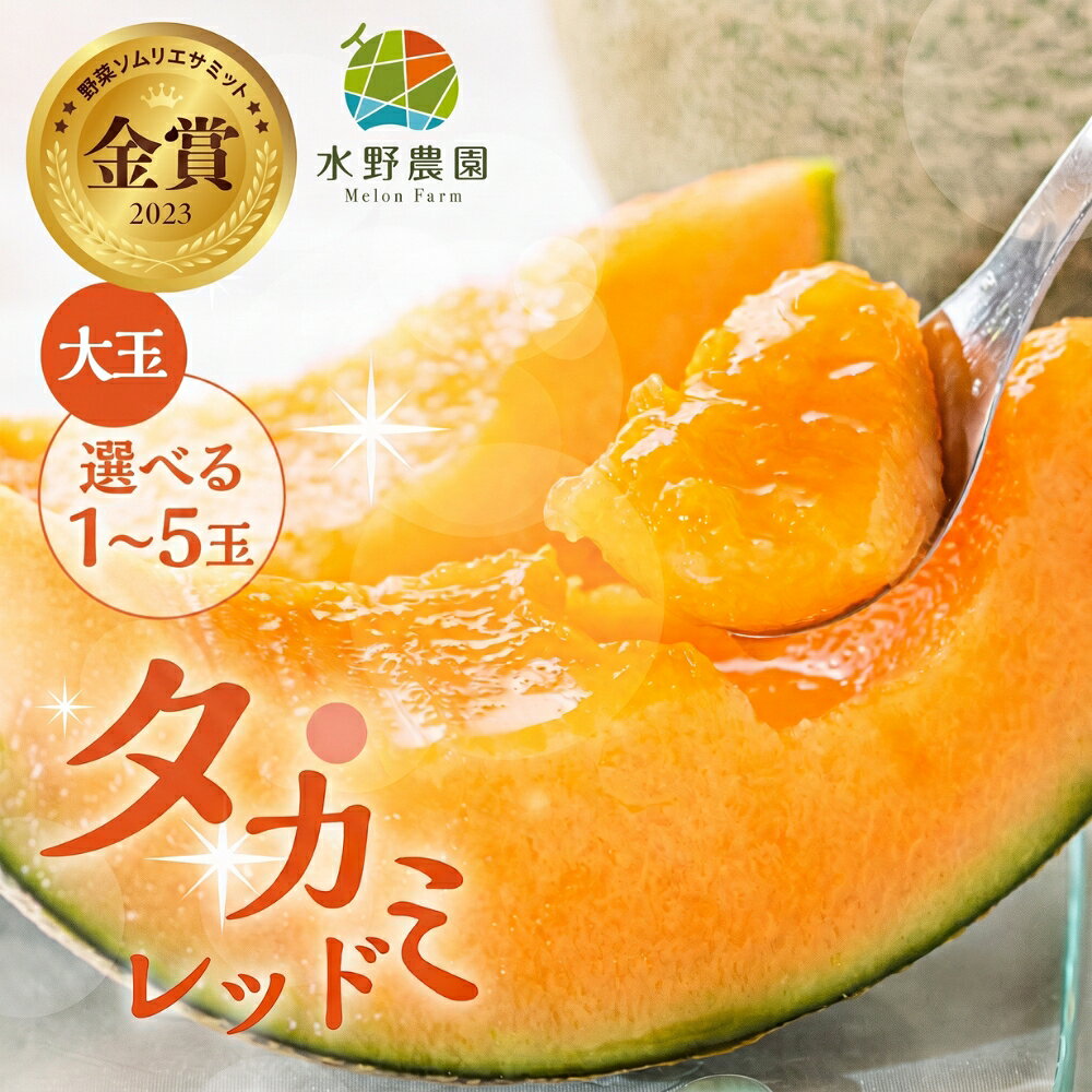 【ふるさと納税】 先行予約 タカミレッド メロン 選べる 大玉1玉～5玉 水野農園　| 2027年6月より順次発送 めろん 先行受付 フルーツ 果物 お中元 お取り寄せ ギフト 渥美半島 田原市 産地直送 送料無料