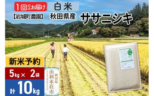 《令和7年産 新米予約》【白米】ササニシキ 10kg(5kg×2袋) 秋田県 由利本荘市産 令和7年産 真空パック 岩城町農園