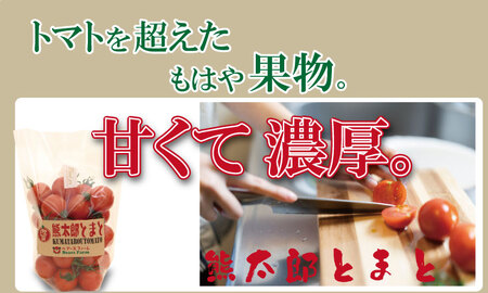 【先行予約】【令和8年1月中旬頃より出荷】熊太郎とまと（2kg）甘さ 濃縮 トマト 塩 ベアーズファーム B190-009 トマト