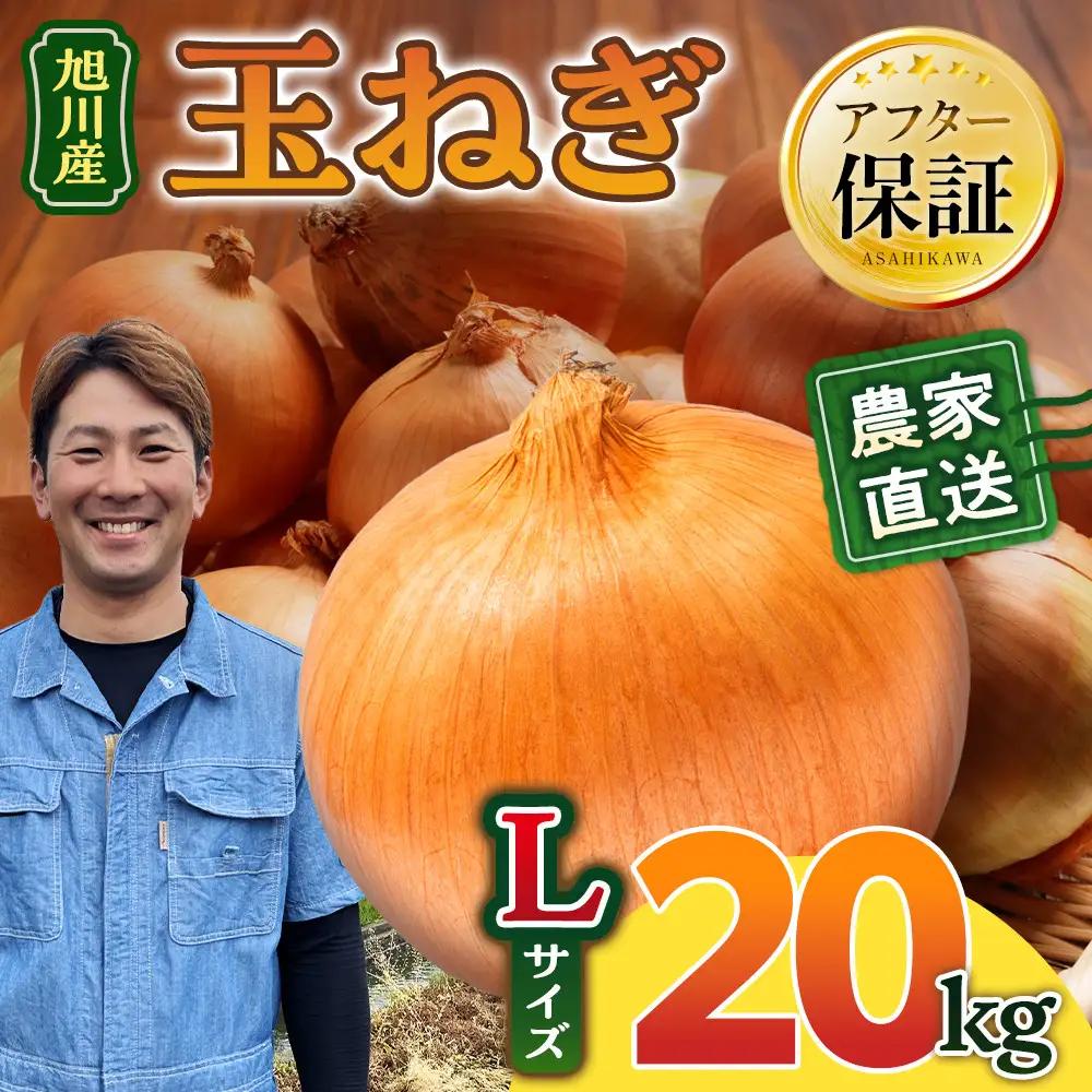 【先行予約】農家直送 低農薬 旭川産 玉ねぎＬサイズ20kg(2026年9月発送開始予定)_ | 玉ねぎ 05935
