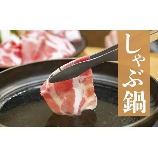 長崎県産 豚肉 ローススライス 計1kg (500g×2) 小分け 冷凍 豚肉 しゃぶしゃぶ すき焼き ぶたにく 国産豚 