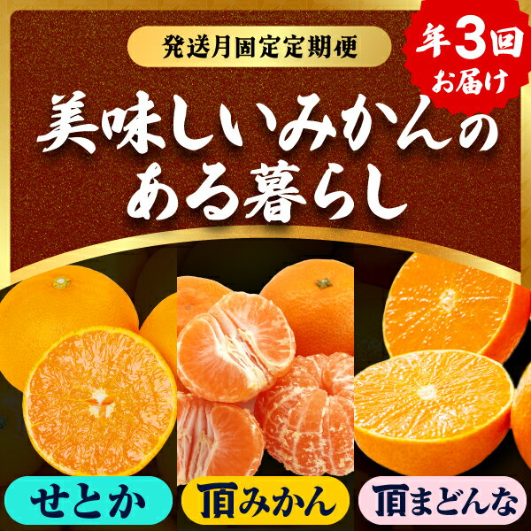 【ふるさと納税】【発送月固定定期便】美味しいみかん柑橘のある暮らし【みかん・まどんな・せとか】【G31-43】全3回_【配送不可地域：離島】【4058604】 YWTAC032