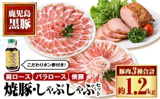 
            B02101 特選黒豚しゃぶしゃぶ・黒豚焼豚2個セット！黒豚バラ・肩ロース(しゃぶしゃぶ用)、黒豚焼豚、こだわりポン酢(300ml)付き  鹿児島 国産 九州産 黒豚 豚肉 お肉 焼豚 叉焼 チャーシュー しゃぶしゃぶ ギフト 贈答【和田養豚】
          