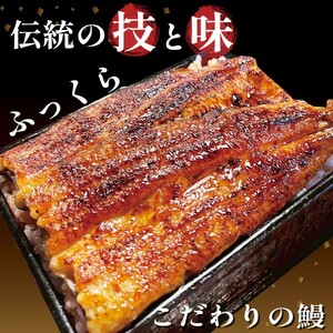 【国産 うなぎ】冷凍 うなぎ 3尾 贈答用 のし対応可 