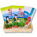 【ふるさと納税】【選べる定期便】こだわり製法で作った 高級 菊川茶（100g×2本）セット【深蒸し 煎茶】＜定期便 3ヶ月 6ヶ月 12ヶ月＞2種 計600g～計2400g 菊川深蒸し茶 静岡茶 深蒸し茶 お茶 緑茶 茶 日本茶 詰め合わせ お取り寄せ 静岡県 菊川市 送料無料