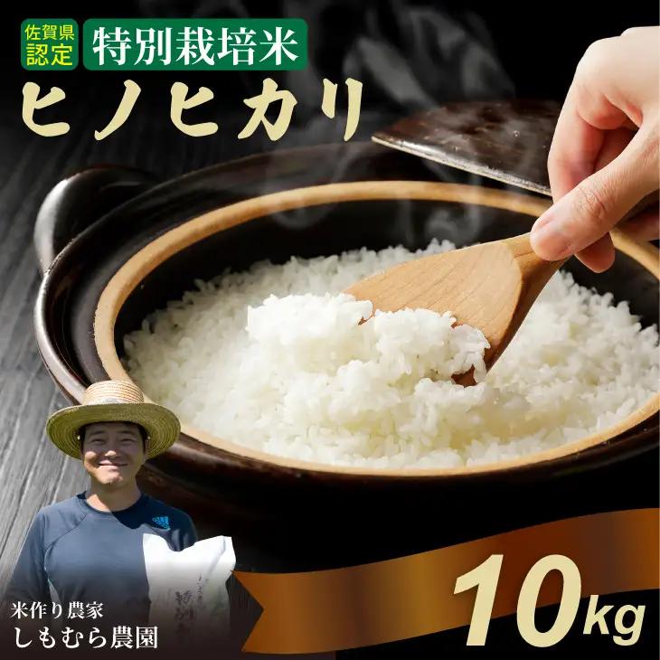 令和7年度産  もっちり艶々 特別栽培米 ヒノヒカリ（5㎏×2袋）しもむら農園  D300-013