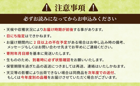 【先行受付2026年発送】農家直送！とうもろこし（ゴールドラッシュ）12本｜小林菜園 ※2026年8月上旬以降発送予定