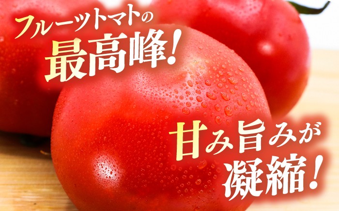濃厚!徳谷トマト約2.0kg 箱詰 生産者指定なし 厳選上級品 元木青果〈2025年1月～発送〉 [ATAC323]