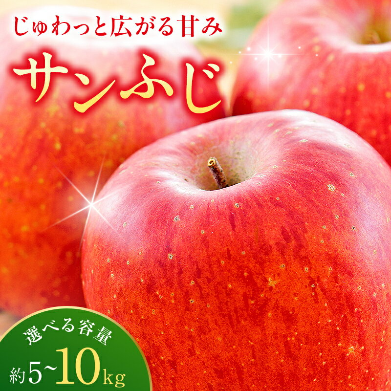 【ふるさと納税】＼容量が選べる！／＜先行予約＞ りんご サンふじ 5kg（12玉～20玉）・10kg（24玉～40玉） リンゴ フルーツ 果物 福島県 鏡石町 F6Q-138var