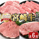 【ふるさと納税】＜全6回・定期便＞宮崎牛定期便(ロースステーキ・600g、肩焼肉・400g、ももバラすき焼き・600g、ワンポンドステーキ・454g、ロースステーキ・600g、肩ロースすき焼き・400g) A4 A5 国産 牛肉 宮崎県産 黒毛和牛 【SJ011】【日本ハムマーケティング株式会社】