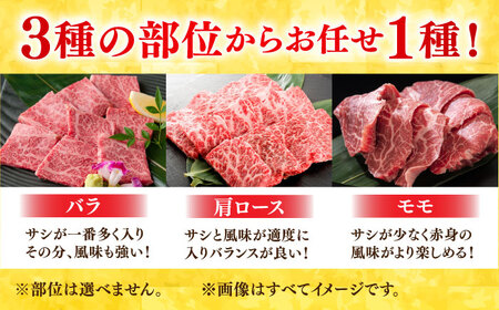 【6回定期便】 艶さし！ 佐賀牛 焼肉用 計3kg (500g×6回)  ※バラ・肩ロース・モモのいずれかの部位※ 吉野ヶ里町 佐賀牛 牛肉 肉 焼肉 バラ 肩ロース 国産 ブランド牛 モモ [FDB