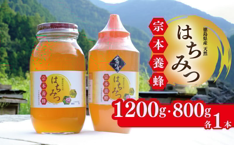 
            はちみつ 国産 セット 1200g 800g 各1本 天然 蜂蜜 純粋 蜂蜜ギフト 健康食品 美容 食品 無添加 栄養豊富 生はちみつ ハチミツ ギフト 贈答 人気 はちみつ お取り寄せ グルメ ヨーグルト パン スイーツ 徳島県 吉野川市
          