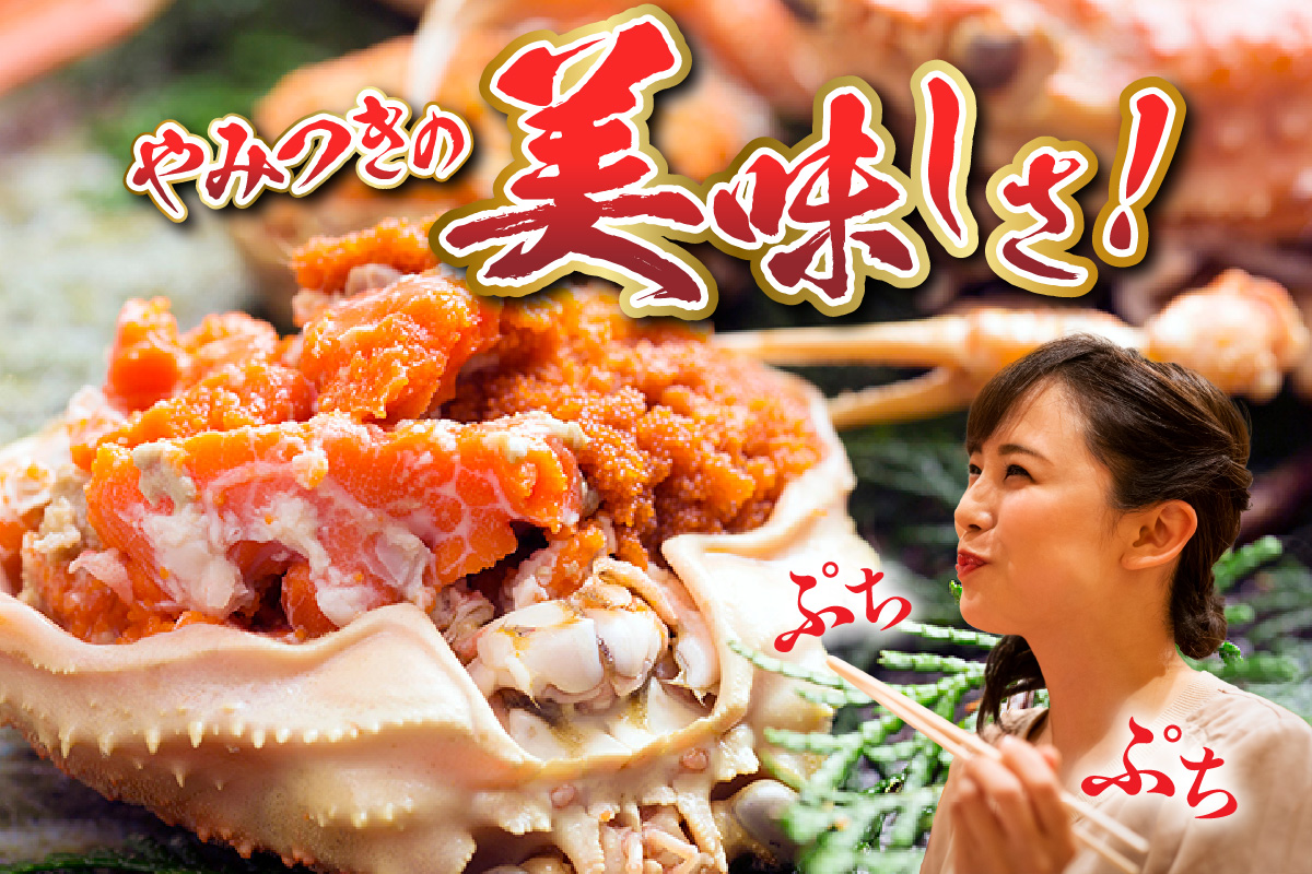 【訳あり セコガニ 約120g×8匹 釜茹で ボイル 冷凍】 国産 カニ かに 蟹 松葉がに せいこがに メスガニ 親ガニ 濃厚 かにミソ かにみそ 蟹味噌 やみつき 内子 外子 絶品 産地直送 絶妙