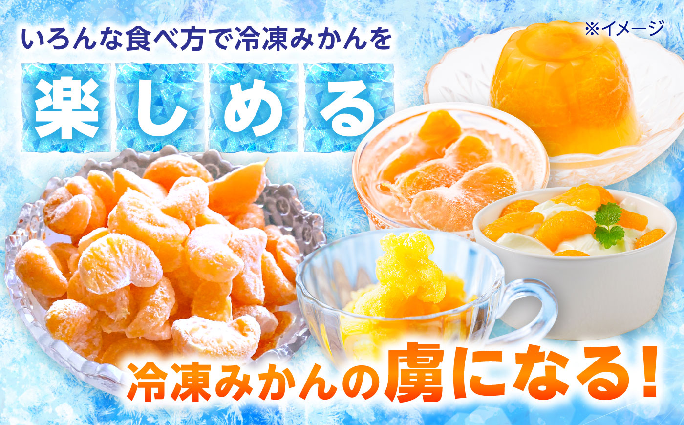 【訳あり】伊木力温州みかんの冷凍みかん 500g×2 / 冷凍ミカン 冷凍みかん レイトウミカン 伊木力温州みかん 伊木力みかん 温州みかん 佐瀬 諫早 多良見 長崎 / 諫早市 / 末永果樹園 [A