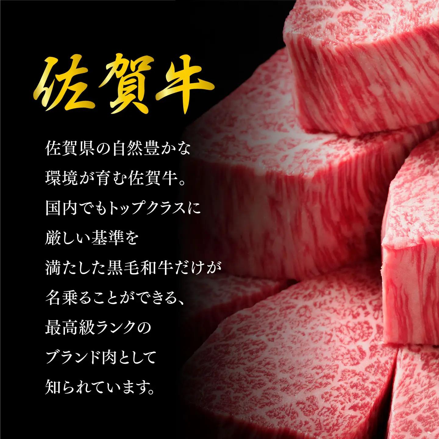 佐賀牛 シャトーブリアン 200g×5枚 K030109
