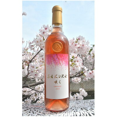 【ふるさと納税】【数量限定】佐倉産初のワイン!ピノ・グリのオレンジワイン　720ml×1本【配送不可地域：離島】【1637211】