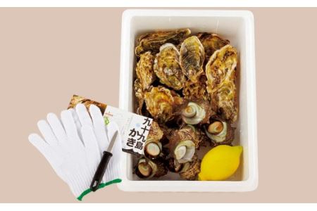 九十九島殻付かき･さざえ 計1.5kg