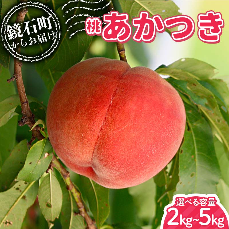 【ふるさと納税】＼選べる容量／＜先行予約＞福島県産 甘くてジューシー 桃 あかつき もも フルーツ 果物 F6Q-296var