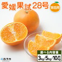 【ふるさと納税】紅まどんなと同品種！＜愛媛果試28号 家庭用 約3kg／5kg／10kg＞ 訳あり わけあり 自宅用 果物 フルーツ みかん ミカン 蜜柑 オレンジ えひめかし 選べる 食べて応援 特産品 柑橘園柴田 愛媛県 西予市【常温】『2024年12月上旬～12月下旬迄に順次出荷予定』