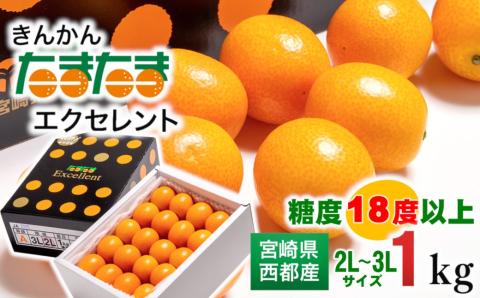糖度18度以上！宮崎金柑の最高級ブランド『完熟きんかんたまたまエクセレント』1kg　2Ｌサイズ以上【先行予約】＜1.7-27＞