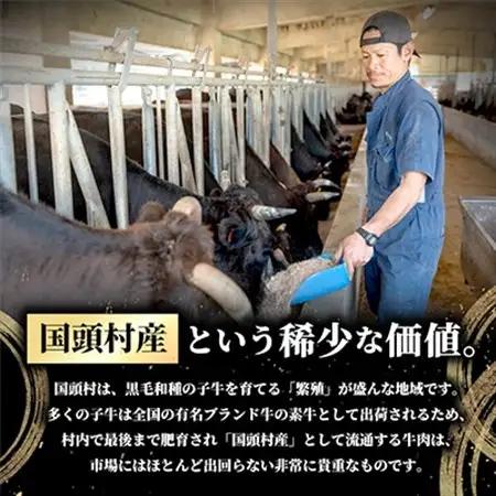 やんばるの自然が育んだ「黒毛和牛 経産牛」サーロイン 合計1kg(200g×5パック)【配送不可地域：離島】【1716774】