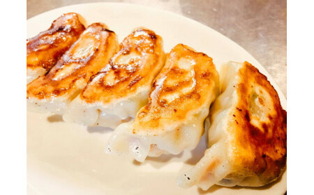 座間名物！大餃子5個×5パック合計25個 ※着日指定不可