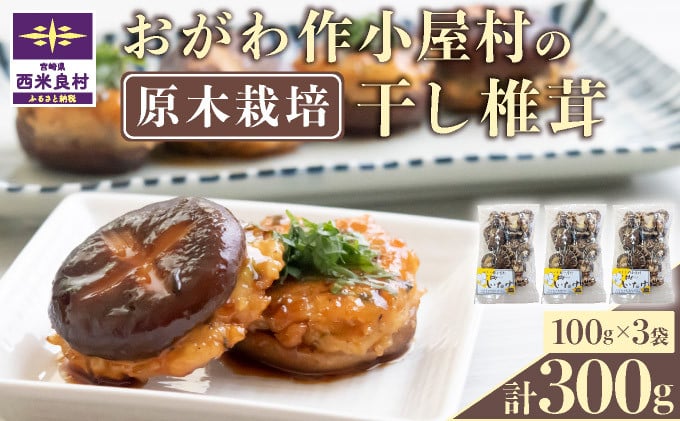 
            おがわ作小屋村の干し椎茸100g×3袋　椎茸 しいたけ シイタケ 乾椎茸 干し椎茸 原木栽培 肉厚 出汁 鍋 贈答用 贈り物 九州 宮崎県 西米良村
          