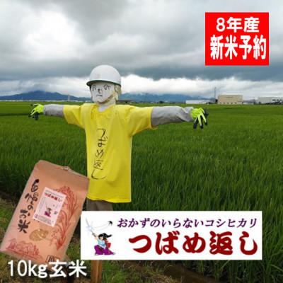ふるさと納税 燕市 【8年産新米 先行予約】おかずのいらないコシヒカリ「つばめ返し」玄米 10kg