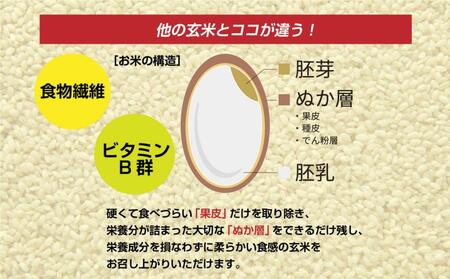 南魚沼産 コシヒカリ 普通に炊ける 玄米 2kg×2袋 計4kg こしひかり 新潟県 米 玄米食 コメ こめ