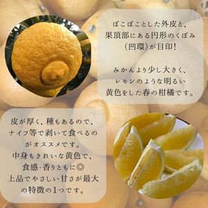 【540.】はるか（B540-1）