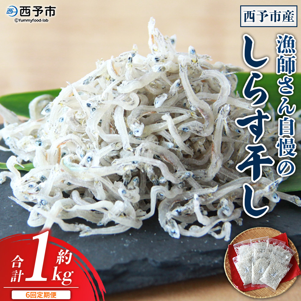 ＜【6回定期便】漁師さん自慢のしらす干し 合計1kg＞ 定期便 シラス 魚介類 さかな 海産物 海鮮 海の幸 小分け 国産 ご飯のお供 丼 晩酌 おかず 特産品 濵田水産 愛媛県 西予市