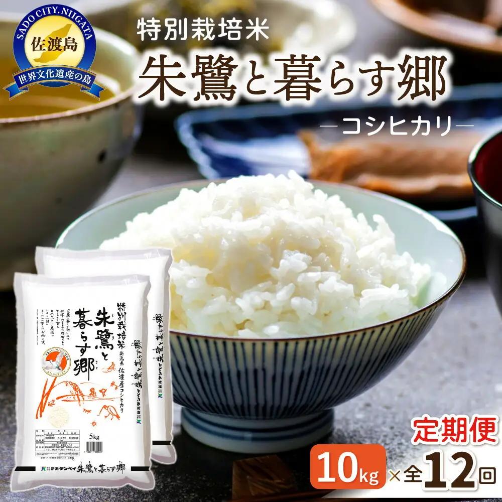 定期便 10kg 毎月12回 コシヒカリ 朱鷺と暮らす郷 | 新潟県 佐渡市