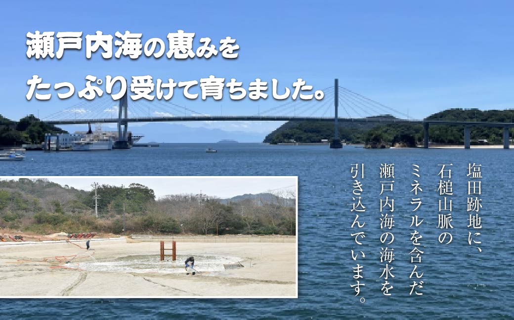 急速冷凍活きな車えび【有頭5～6尾(約170g)】【無頭8～10尾(約140g)】各1袋セット【配送不可地域：離島】