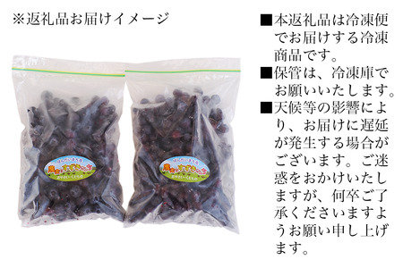 【予約】冷凍ブルーベリー 1kg 直径13mm以上　※7月下旬発送予定
