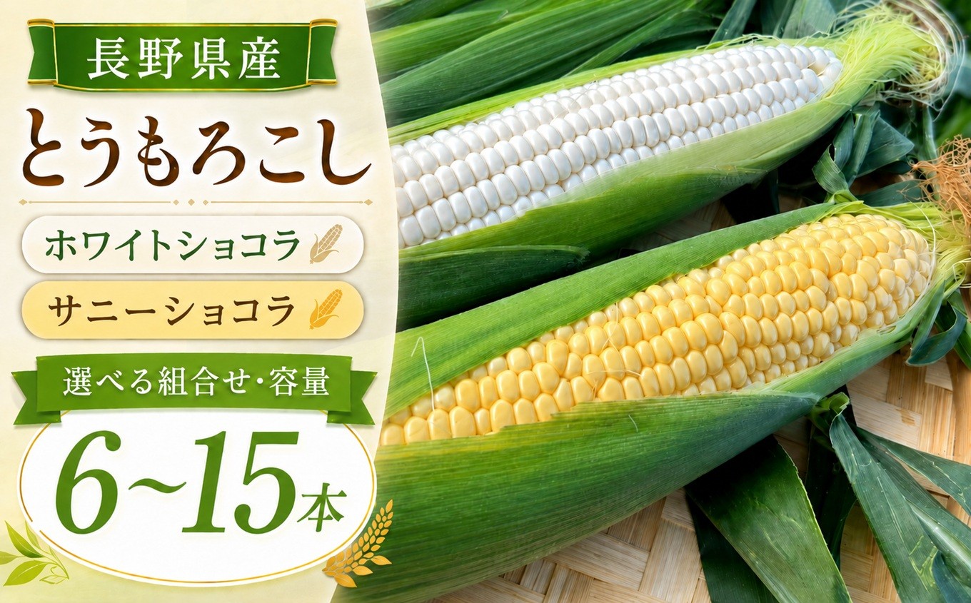 
                  とうもろこし ホワイトショコラ サニーショコラ 【選べる容量】| 農家直送 トウモロコシ 甘い 野菜 ジューシー みずみずしい 生食 茹で 焼き 栄養 おやつ 長野県 南信州 飯田市
                