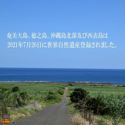 ふるさと納税 徳之島町 【祝!世界遺産】奄美黒糖焼酎ざわわ世界自然遺産登録記念ラベル(2本) |  | 03