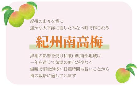 【家庭用】紀州南高梅　はちみつ漬つぶれ梅　2kg