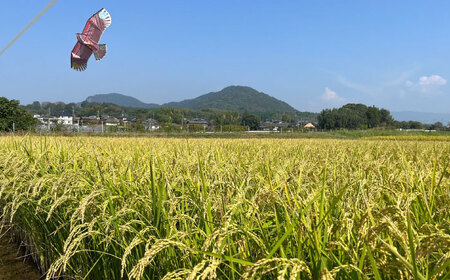 【先行予約】 【天日塩を使用】一鹿米 旭一号 米 玄米 5kg【株式会社 夢アグリ】[ZCL015]