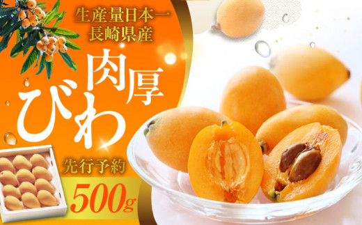【申し込みは4/17まで】 長崎 ハウスびわ 500g ＜4月お届け＞長崎県/長崎県農協直販 [42ZZAA027] ビワ 枇杷 果物 フルーツ びわ 長崎 特産 数量限定