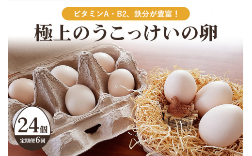 平飼い極上のうこっけいの卵　24個（20＋補償4個）×定期便6回【6ヶ月定期便】卵かけご飯 卵かけごはん TKG 卵 たまご タマゴ 玉子 烏骨鶏 烏骨鶏の卵 安全 テレビ TV マニアさん 健康 美容 ご飯 すき焼き 目玉焼き 卵焼き 玉子焼き たまご焼き 37-B