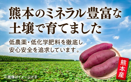 紅はるか 秀品 約5kg S〜2Lサイズ混合 【株式会社 Foody’s】[AYAT004]
