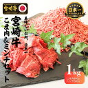 【ふるさと納税】宮崎牛 こま肉・ミンチセット1kg S-21