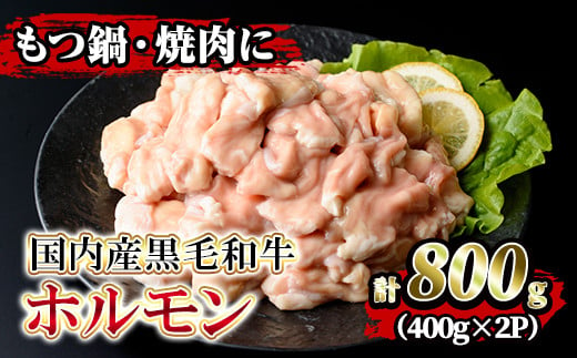 
isa205 国内産黒毛和牛！ホルモン(計800g・400g×2P)大腸・小腸・赤センマイをミックス！小分け真空パックでお届け！もつ鍋・焼肉・煮込みに【堀ノ内商会】
