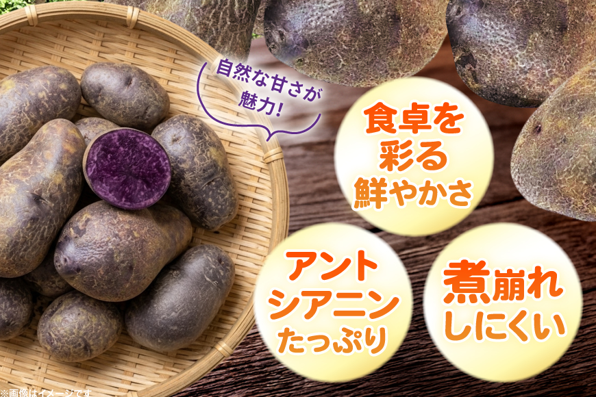じゃがいも シャドークイーン 5kg [けんぶちVIVAマルシェ 北海道 剣淵町 14656391] ジャガイモ 芋 いも ポテト 野菜 秋野菜 秋 常備野菜 カレー シチュー ポテトサラダ