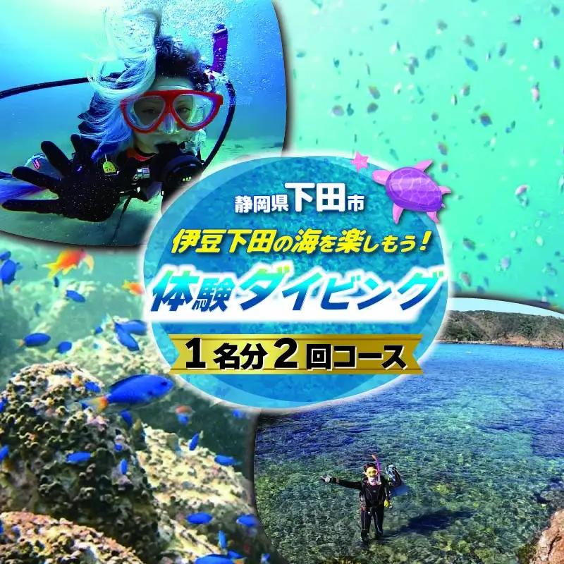 体験 チケット 体験ダイビング 2回 ダイビング 