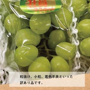 【きよとうファーム】訳あり品 シャインマスカット/約2kg(岡山県産)【配送不可地域：離島】【1602687】
