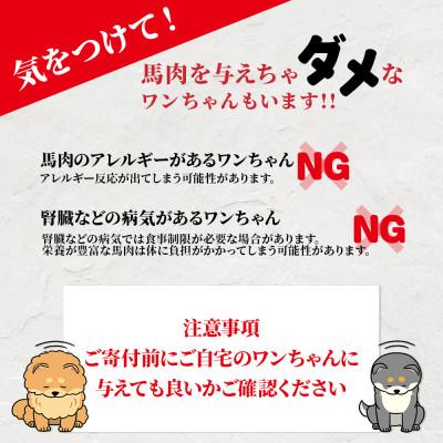 ふるさと納税 多良木町 ペット用 馬刺しジャーキー 50g×2 100g(多良木町) |  | 03