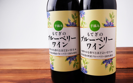 茂木産ブルーベリーを使用した　ブルーベリーワイン360ml×2本セット | ワイン ワイン ワイン  ワイン  ワイン  