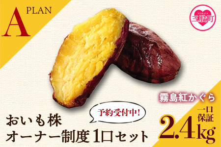 ＜【A】おいも株オーナー制度1口セット2株 霧島紅かぐら(最低2.4kg保証)＞12月中旬頃に熟成されたさつまいもをお届け! きりしまべにかぐら サツマイモ 芋 権利書 チケット 体験 苗植会 収穫祭【MI106-sh-t】【株式会社育みの里しろはと】